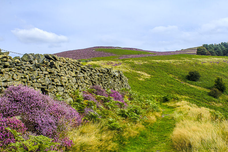 Eyam Moor Eyam Moor